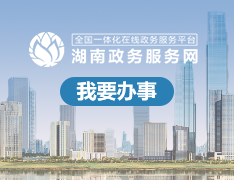 我要办事湖南省政务服务网